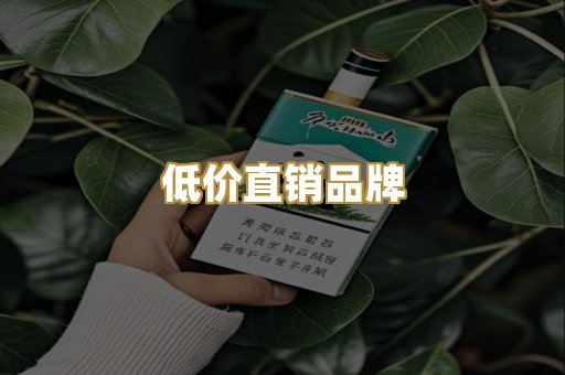 低价直销品牌